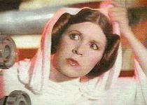 leia.jpg (7222 bytes)